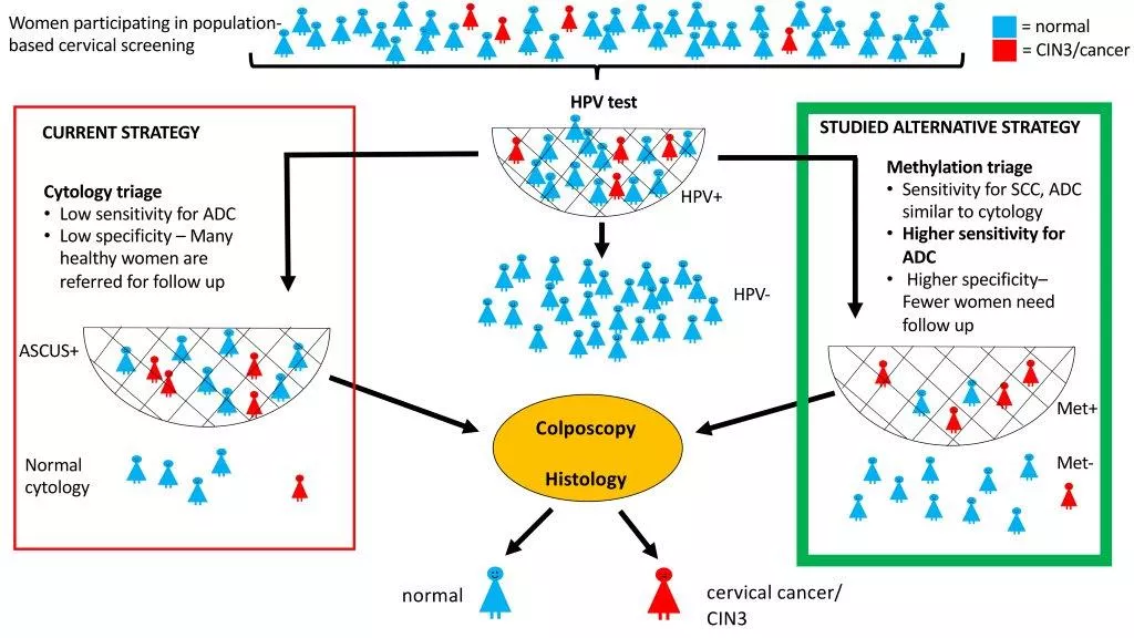 A schematic picture showing methylation